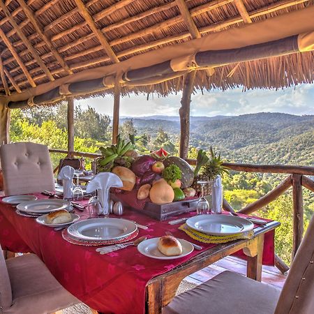 Ngorongoro Forest Tented Lodge Karatu Dış mekan fotoğraf